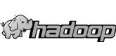 The Apache Hadoop software library is a framework that allows for the distributed processing of large data sets across clusters of computers using simple programming models